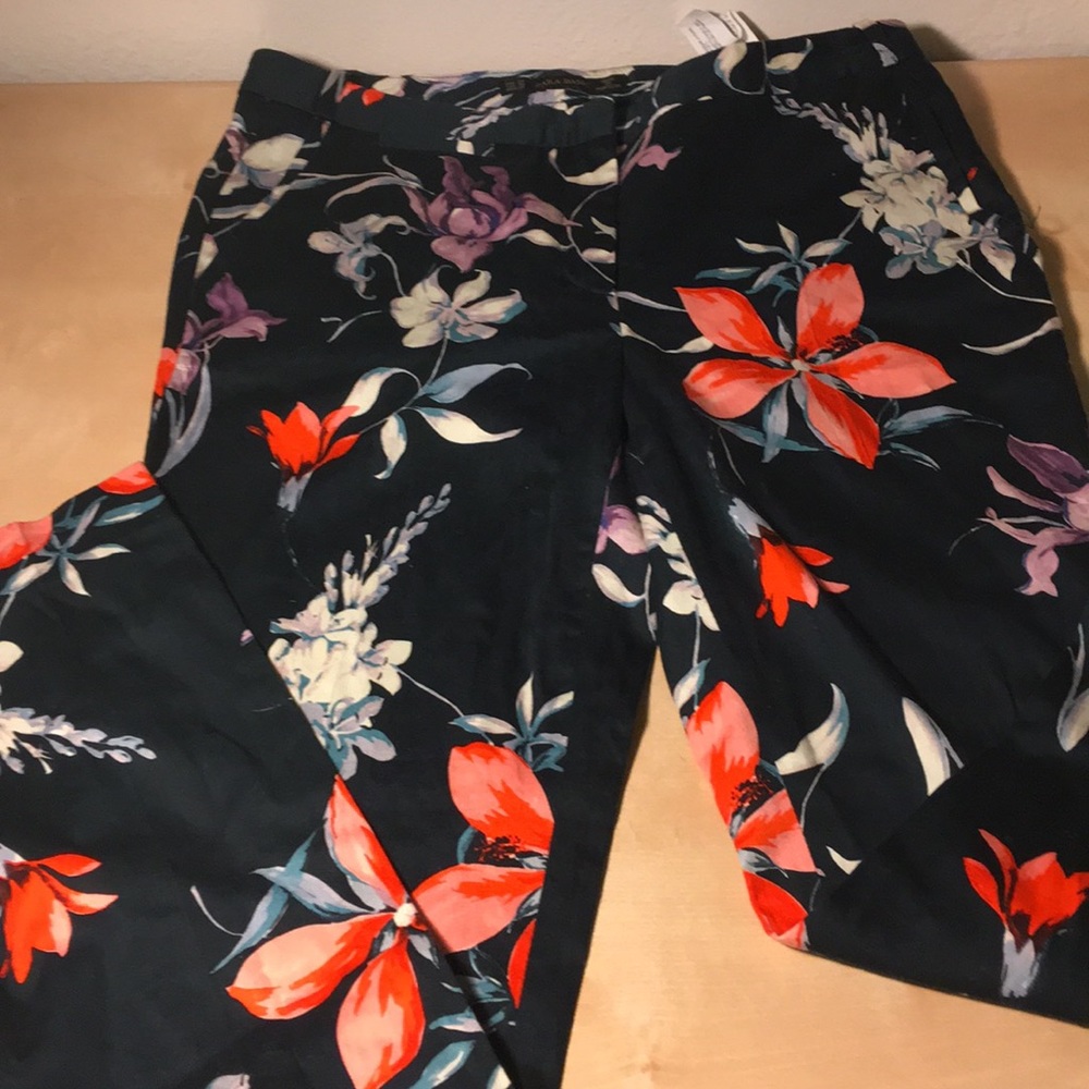 Blue dressing pants